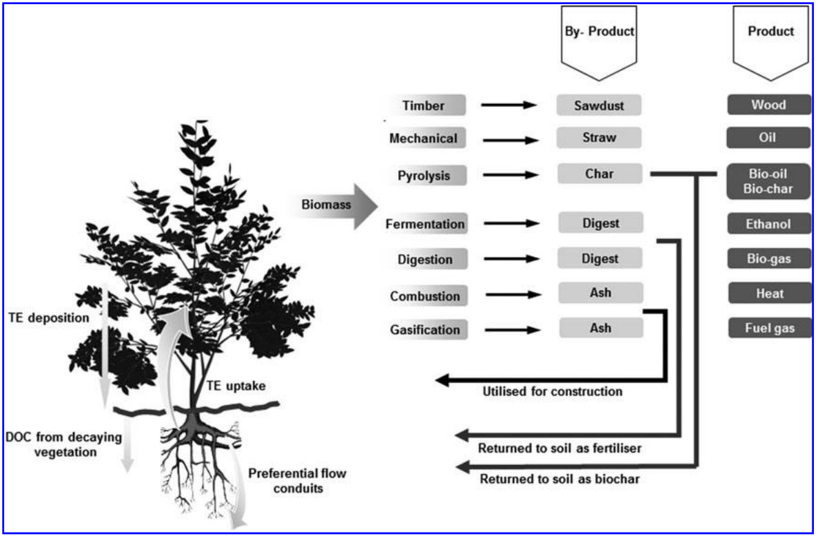 FIG. 1. Scheme of possible products deriving from the biomass on contaminated land (BCL) and possible trace element (TE) pathways into the environment. DOC, dissolved organic carbon.