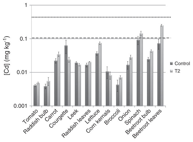 Fig. 2. Average Cd concentrations (mg kg−1 fresh weight) and standard errors of the control (a silt loam soil) and the T2 (biosolids+biochar) treatment (n=5) of the edible portions of the vegetables. The dashed line repr