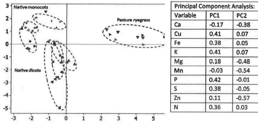 Figure 5 Principal components analysis describing variation of foliar element concentrations in terms of plants species. The first two PCIs account for 74% of the data variation. · C. australisP. tenus + A. richardii · K