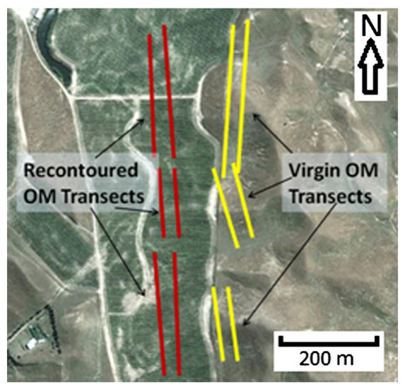 Fig. 3. Organic matter transect locations (approximate; not indicative of exact length and shape of transects). Image © DigitalGlobe 2013, from © Google Earth, 2013.