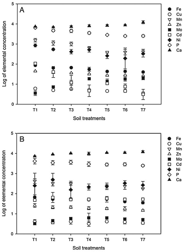 Fig. 2. Elemental concentration expressed as logarithmic scale of shoots of white lupin plants grown in Pukekohe (A) and Levin (B) soils treated with different lime concentrations (T1: 0 wt%, T2: 0.3 wt%, T3: 0.6 wt%, T4