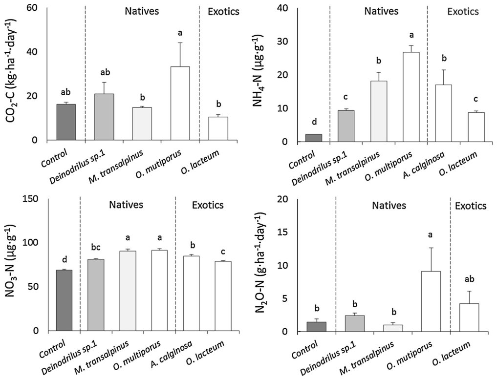 Fig. 4. Mobile nitrogen (ammonium and nitrate) and release of N2O (nitrous oxide) and CO2 (carbon dioxide) in the presence of native and exotic earthworms during 3 weeks inoculation. Shading distinguishes control ( ), ep