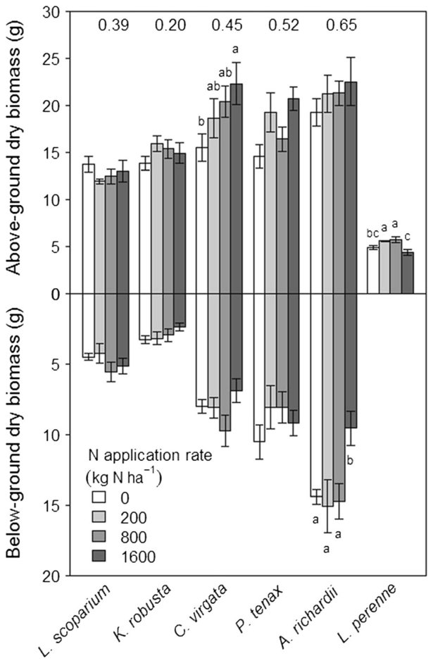 Fig. 1 Mean (±SE) plant yield in the glasshouse trial (2012) of five native species and L. perenne grown in low fertility soil with increasing rates of N application. L. perenne root biomass was not measured. Values acro