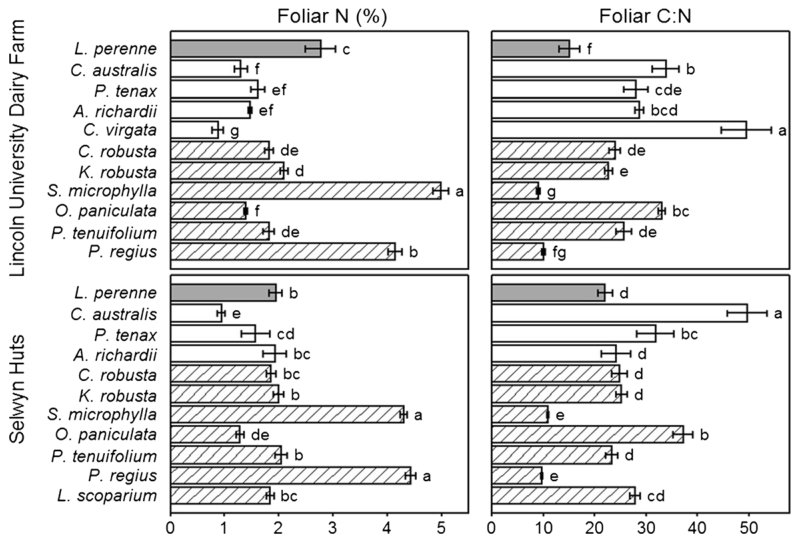 Fig. 3 Mean (±SE) N concentration and C:N ratio of foliage samples collected from native species (white, dicotyledons; cross-hatched, monocotyledons) and L. perenne (grey) at the Lincoln University Dairy Farm and Selwyn