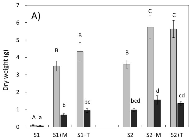 Figure from page 4 of the original article