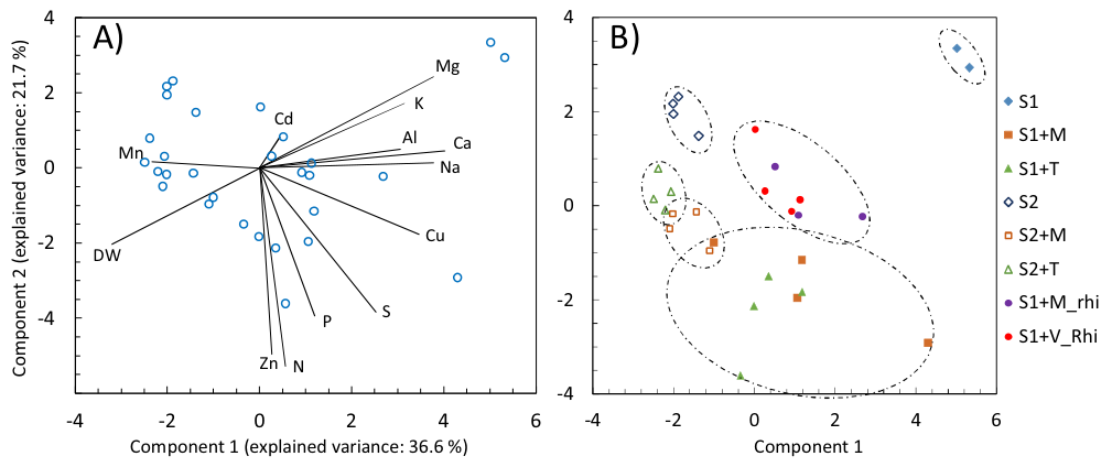 Fig. 6. Principal Component Analysis of the response of L. scoparium to different biosolids applications in both the pot experiment and the rhizobox experiment. A) Represents the weight of the variables for each of the c