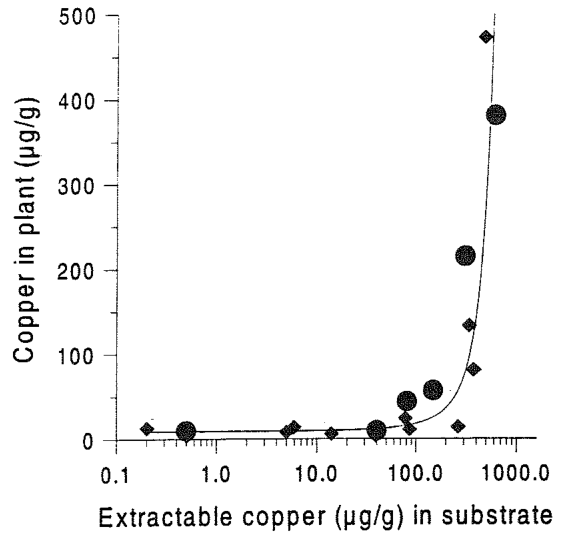 FIGURE 3. Mean concentrations of copper in fresh shoots of Erica andevalensis as a function of extractable copper in the substrate. Solid diamonds: commercial potting mixture with copper initially added as sulphate and w