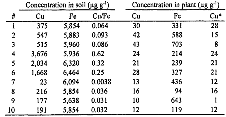 TABLE 1. Copper and iron concentrations (ug g' dry mass) in Erica andevalensis and its corresponding metal-rich soils (pH 3.5-5.0) from the Andévalo, Huelva Province, Spain.