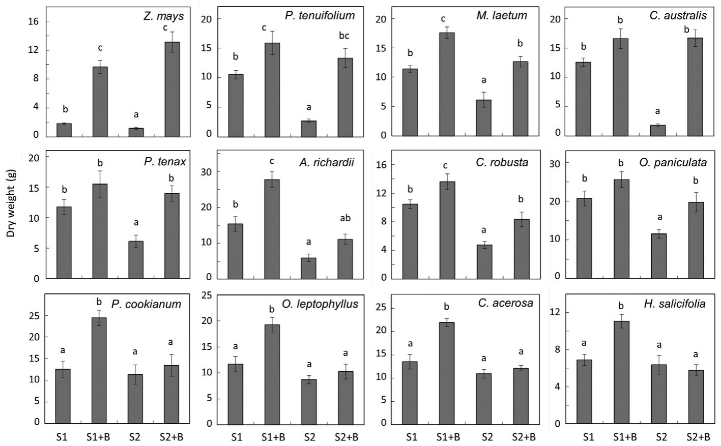 Fig. 1. Dry weight (g) of plants growing in soils 1 and 2 without (s1 and s2) and with biosolids addition (s1+B and s2+B). error bars indicate standard error (n = 5). Different letters indicate significant differences (9
