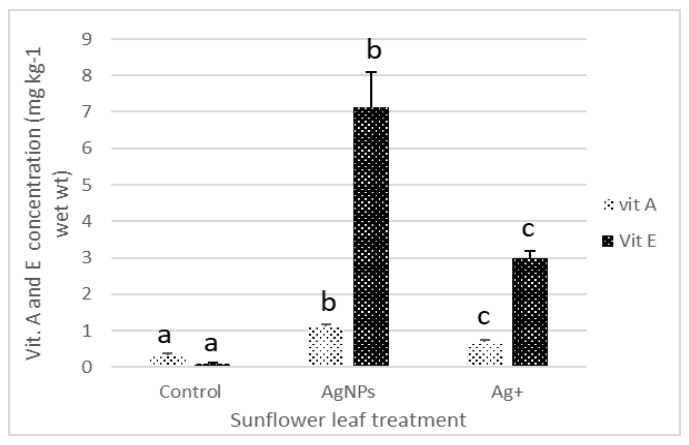 Figure 3. Chlorophyll A and B, and total carotenoid concentrations, in leaves of sunflower plants grown in soil containing 150 mg/kg Ag as AgNPs and Ag+ (as AgNO3). Results are presented as mean ± SE of four replicates. 