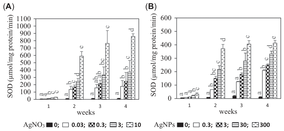 FIGURE 2: Superoxide dismutase enzyme activity (mean ± standard error of the mean) in Aporrectodea caliginosa (n = 5) exposed to (A) Ag+ as AgNO3 (0, 0.03, 0.3, 3, and 10 mg/kg), and (B) Ag nanoparticles (NPs; 0, 0.3, 3,
