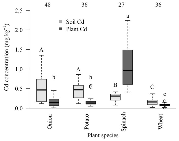 Fig. 1. Boxplot showing Cd concentrations in four cropping soils and plants (dry biomass, DW). Median values between different categories are significantly different where labelled with different letters, with upper and 