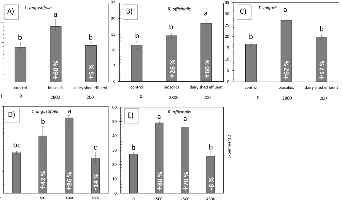 Fig. 1. Aboveground biomass (g DW) of L. angustifolia, R. officinalis and T. vulgaris in A, B and C- Exp. 1 (n = 3 ± se) in addition to D and E- Exp. 2 (n = 5 ± se). The biomass of the L. angustifolia is related to the p