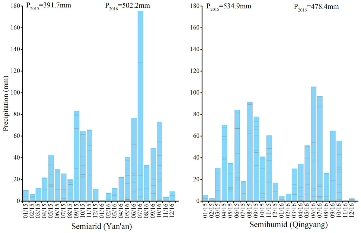 Fig. 2. Monthly precipitation time-series from January 2015 to December 2016 at the sites in the two climatic regions. The intervals in the bars indicate amounts of precipitation in individual events.