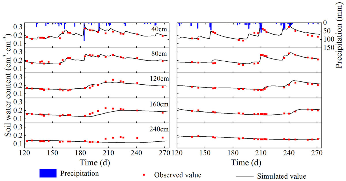 Fig. 3. Simulated and observed soil water contents in the 10-year-old apple orchard at the semiarid site (Yan’an) in 2016 (left) and 2017 (right).
