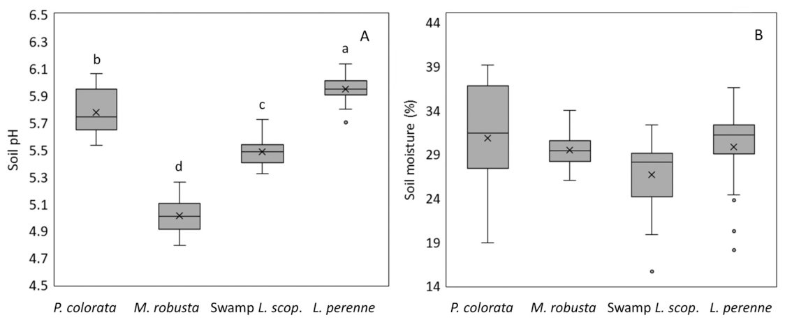 Fig. 5. (A) Soil pH for all soils collected during the experiment. (B) Soil moisture (%) for all soils collected during the experiment (n = 24 except for P. colorata n = 14 and Swamp L. scoparium n = 21).