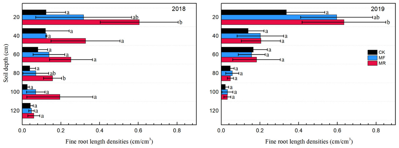 Fig. 2. Vertical distribution of fine root length density (FRLD) with field management in Chinese wolfberry plantation sites. The same letter in different rows indicates that there was no significant difference in FRLD (