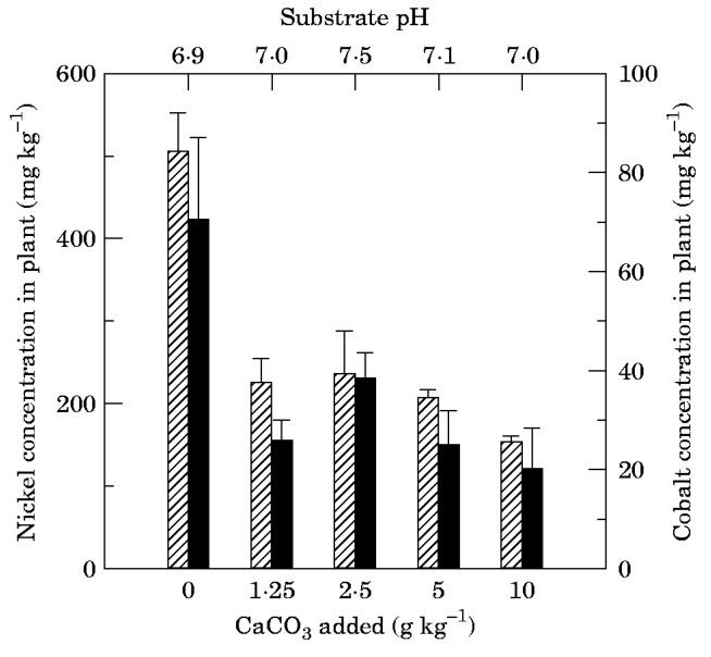 FIG. 2. Metal concentrations (Co, ·; Ni, 2) in Berkheya coddii after addition of calcium carbonate to the substrate. Bars (n = 4) are s.e.m.