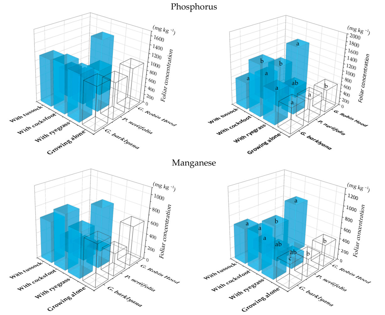 Figure 1. Phosphorus and manganese concentrations in the foliage of the three species of proteas when they were growing alone (open bars) or with one of three species of grass: Lolium perenne (ryegrass), Dactylis glomera