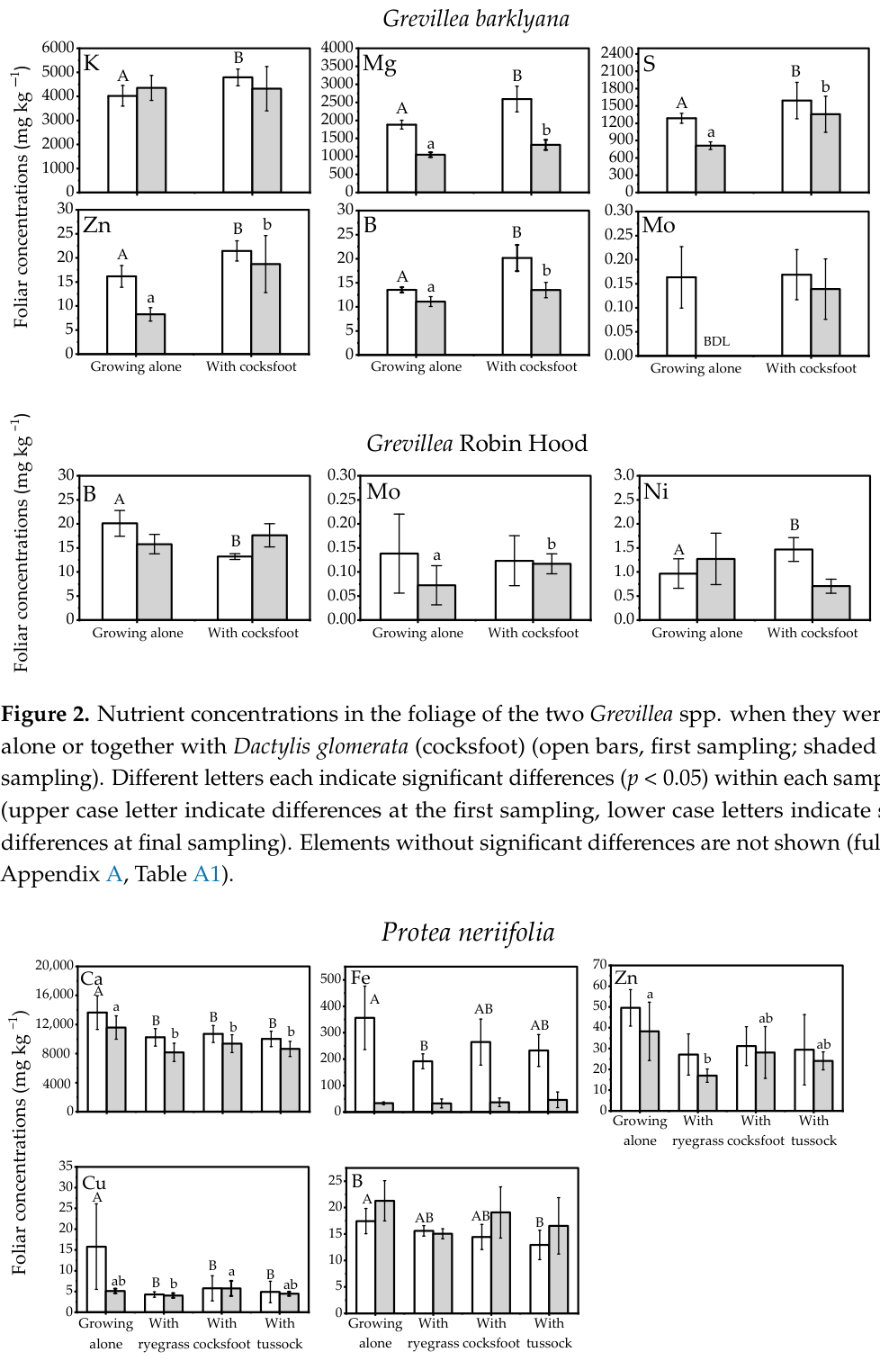 Figure 3. Nutrient concentrations in the foliage of the Protea neriifolia when grown alone or together with the three species of grass: Lolium perenne (ryegrass), Dactylis glomerata (cocksfoot), or Poa cita (tussock gras