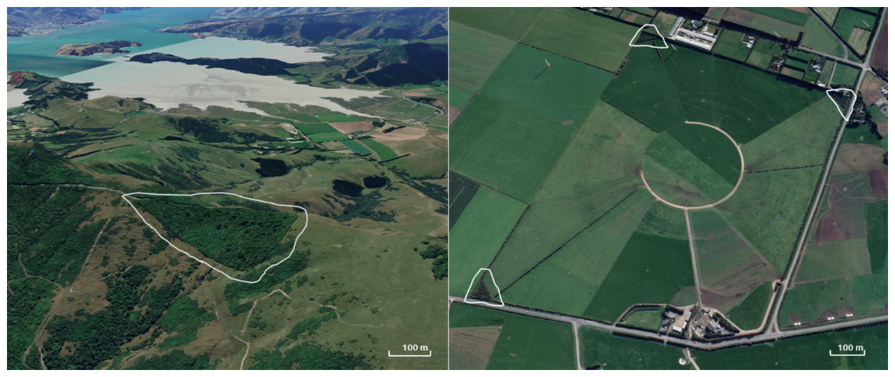 Fig. 1. Examples of marginal vegetation that provides a refuge for native earthworms within livestock-farmed landscape matrices in lowland New Zealand: Ahuriri scenic reserve (− 43◦39′58.97′′S/172◦37′26.37′′E, left) and
