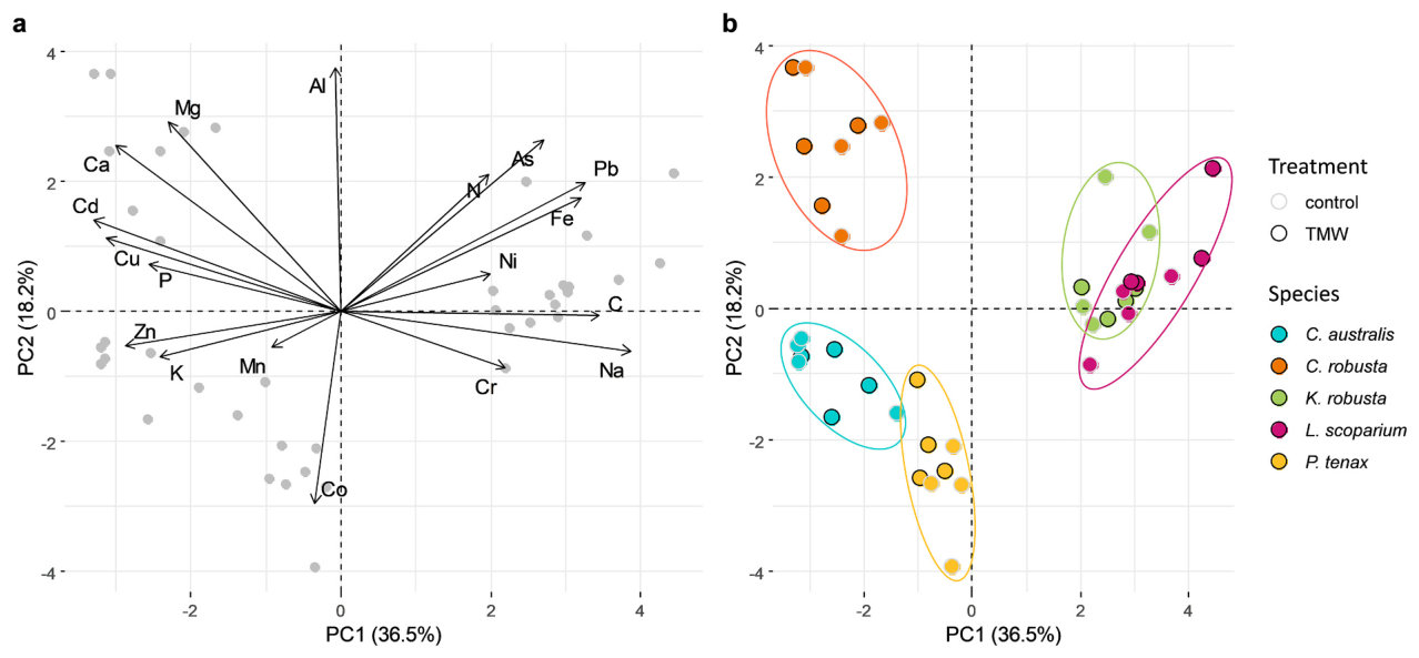 Fig. 4. Principal component analysis (PCA) of elemental plant composition at the Duvauchelle field site; (a) loading plot, and (b) score plot.