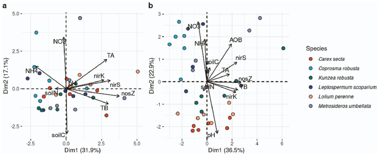 Fig. 4. Principal component analysis (PCA) of chemical and microbial soil parameters; (a) control treatment and (b) fertilised (NPKS) treatment. TB: total bacteria, TA: total archaea, nirK/nirS/nosZ: denitrification gene