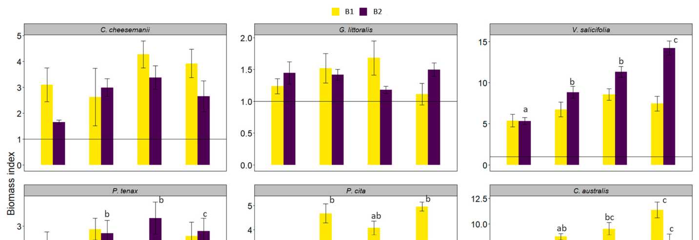 Figure from page 6 of the original article