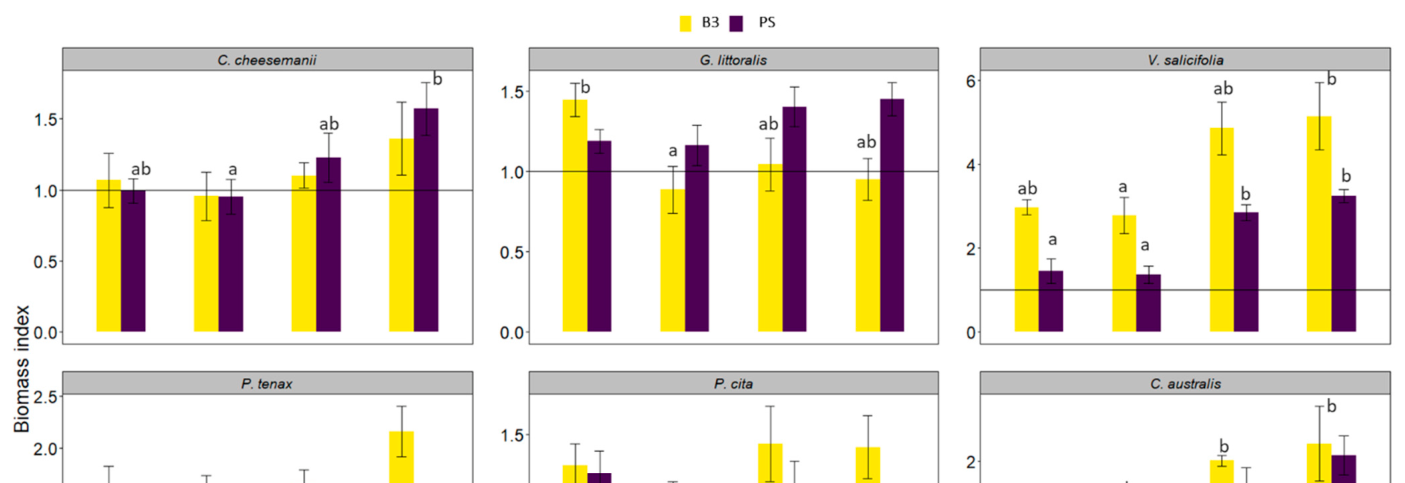 Figure 1. Biomass index of species versus increasing rates of biosolids from biosolid 1 and 2 (B1 and B2). Results show the average and standard error of the mean. The biomass index of control in dicated on the Y axis (y
