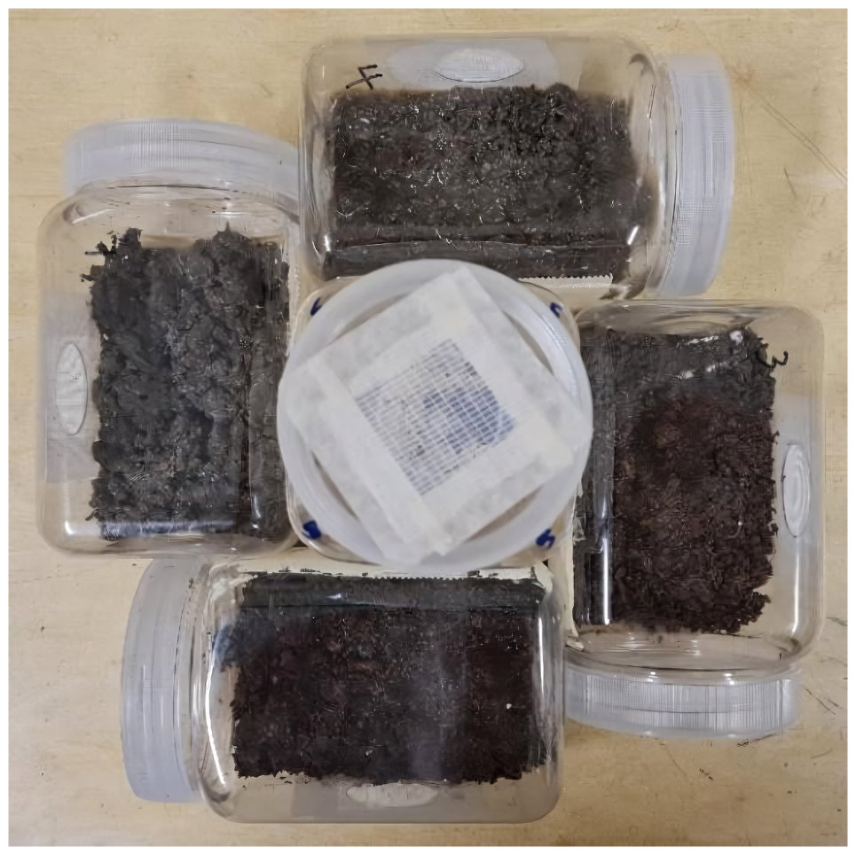 Fig. 2. Choice chambers used for earthworm preference tests (n = 5). Each connected polypropylene container (70 mm × 70 mm x 90 mm) with 50 mm diameter holes allowing free movement into each by earthworms introduced into