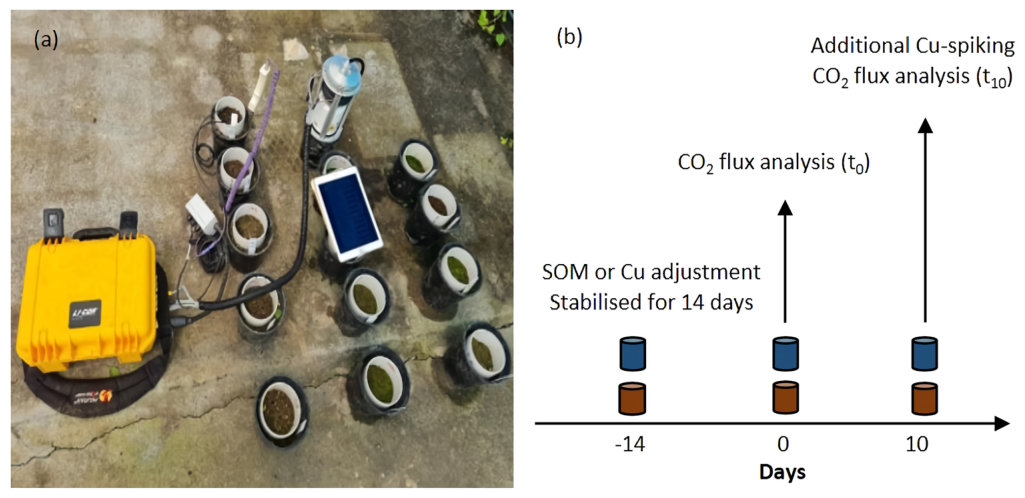 Fig. 3. Measurement of CO2 flux in SOM and Cu adjusted soil treatments, showing IRGA, collars and chamber (n = 15). Recorded data was transferred from IRGA instrument to tablet (inserted into photograph); (b) Summary of