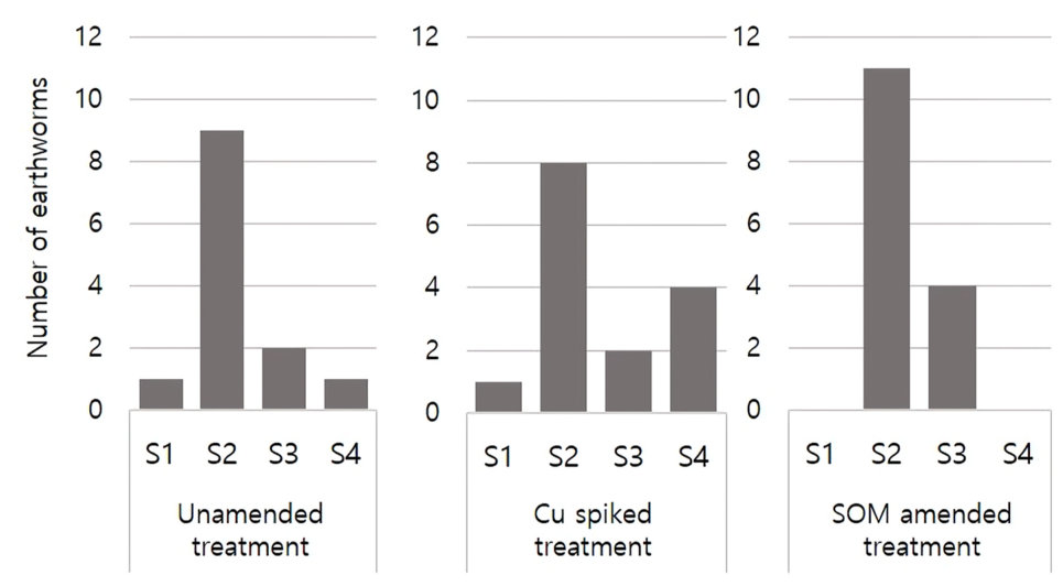 Fig. 4. Earthworm preference test after 14 days of exposure of 15 earthworms simultaneously to four unamended and amended soils in the choice chambers (n = 5). In the SOM-amended and Cu-spiked soils, SOM was adjusted to