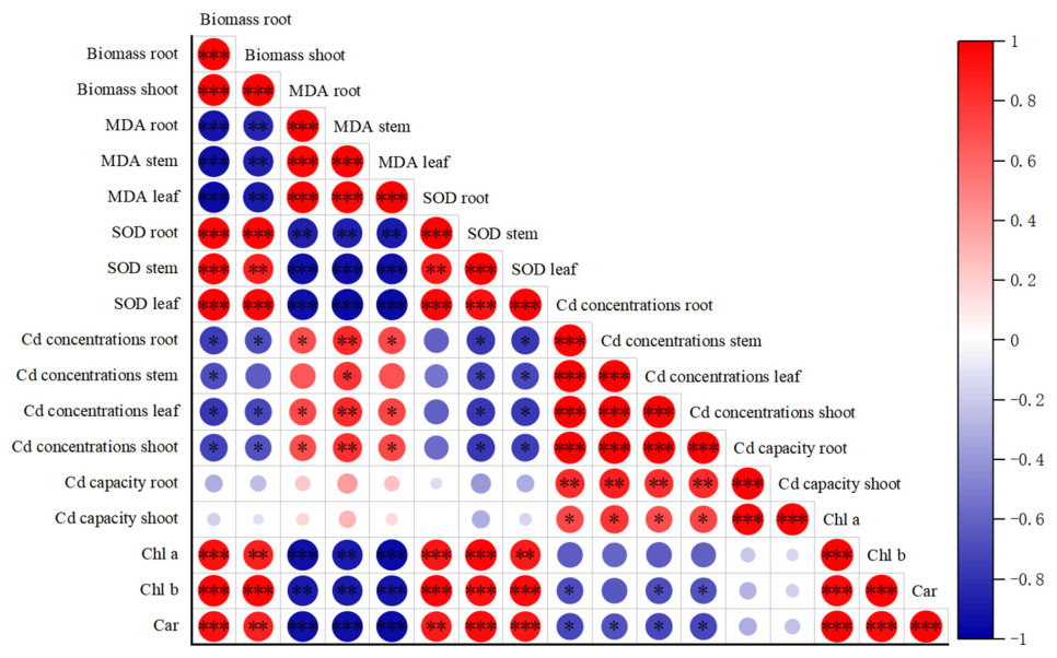 Fig. 4. Pearson's correlation analysis of three ecotypes of S. nigrum (Red indicated positive correlation and blue indicated negative correlation. *, ** and *** were significant differences at P < 0.05, P < 0.01 or P < 0