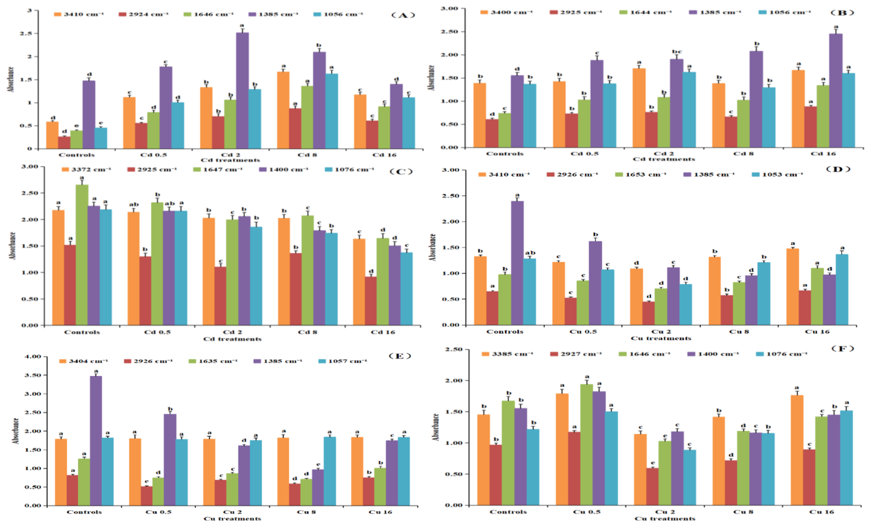 Fig. 2 Comparison of absorbance intensity of characteristic peaks (1064 ± 8cm−1, 1381 cm−1, 1651 cm−1, 2924 cm−1 and 3410 cm−1) in the infrared spectrum of Cd- or Cu-treated