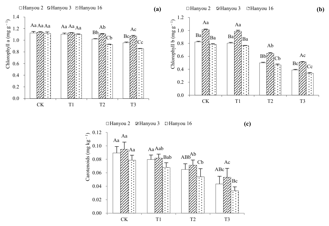 Figure 2. Chlorophyll a (a), Chlorophyll b (b) and Carotenoids (c) of three B. napus cultivars. Different capital letters over columns between different cultivars indicate significant differences and different lowercase 
