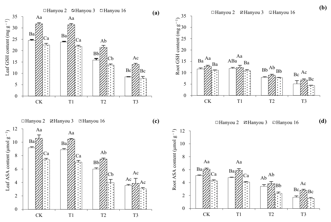 Figure 6. Leaf GSH content (a), root GSH content (b), leaf ASA content (c) and root ASA content (d) of three B. napus cultivars. Different capital letters over columns between different cultivars indicate significant dif