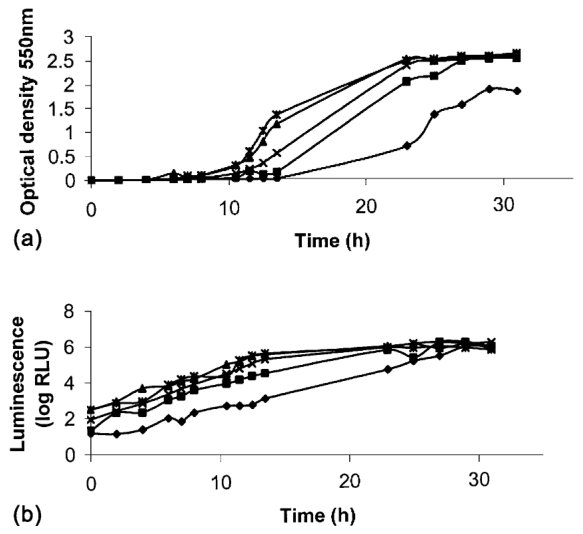 Fig. 1. Growth of lux-strain CR3 in batch culture as measured by (a) optical density (OD550 nm) and (b) luminescence (log (RLU)) with Cd2+ concentrations at 5 mg l−1 (�) and 1 mg l−1 (�), 0.5 mg l−1 (�), 0.1 mg l−1 (×) a