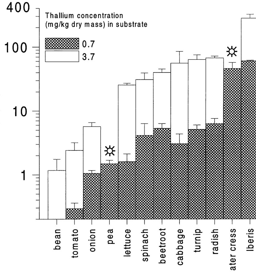 Figure 1. Thallium concentrations in vegetables and in the thallium-hyperaccumulator Iberis intermedia when grown in loam with added thallium.