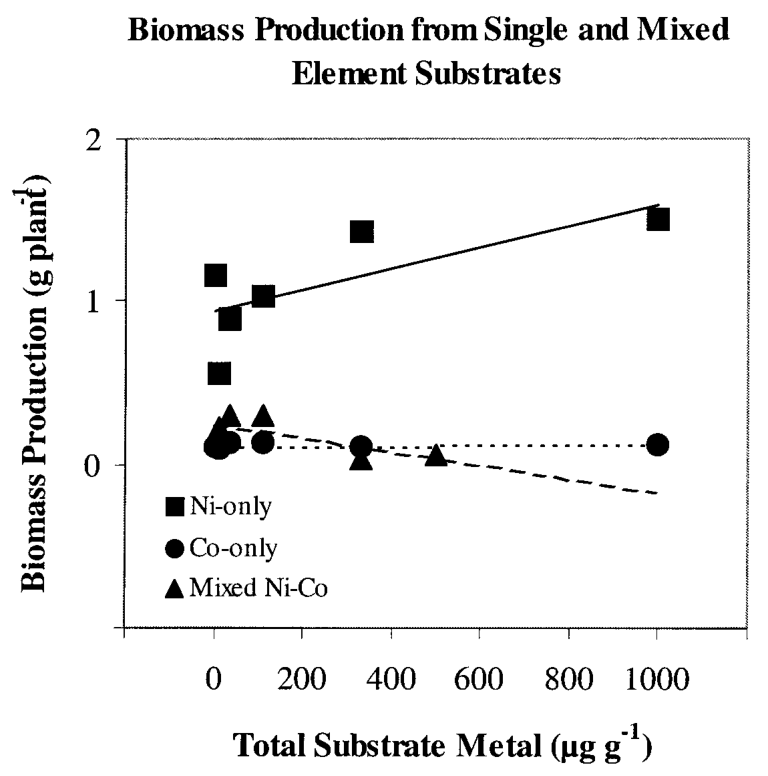 FIGURE 4. Biomass production (g plant−1) of Berkheya coddii (dry wt., n = 8) and first order linear regressions as a function of the total substrate Ni (square), Co (circle), and mixed metal (triangle). Concentrations in