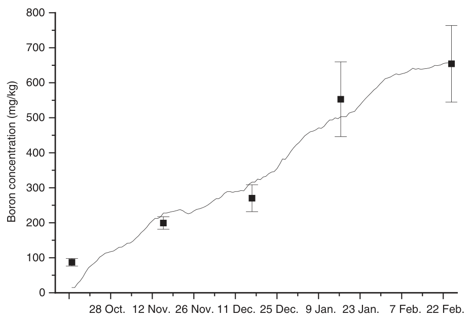 Fig. 3. The concentration (mg/kg dry mass) of B in poplar leaves from the lysimeter experiment during the 2001–02 season. Values are averages of four trees. Bars represent the standard error of the mean.