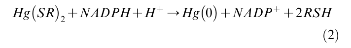 Equation from page 8 of the original article