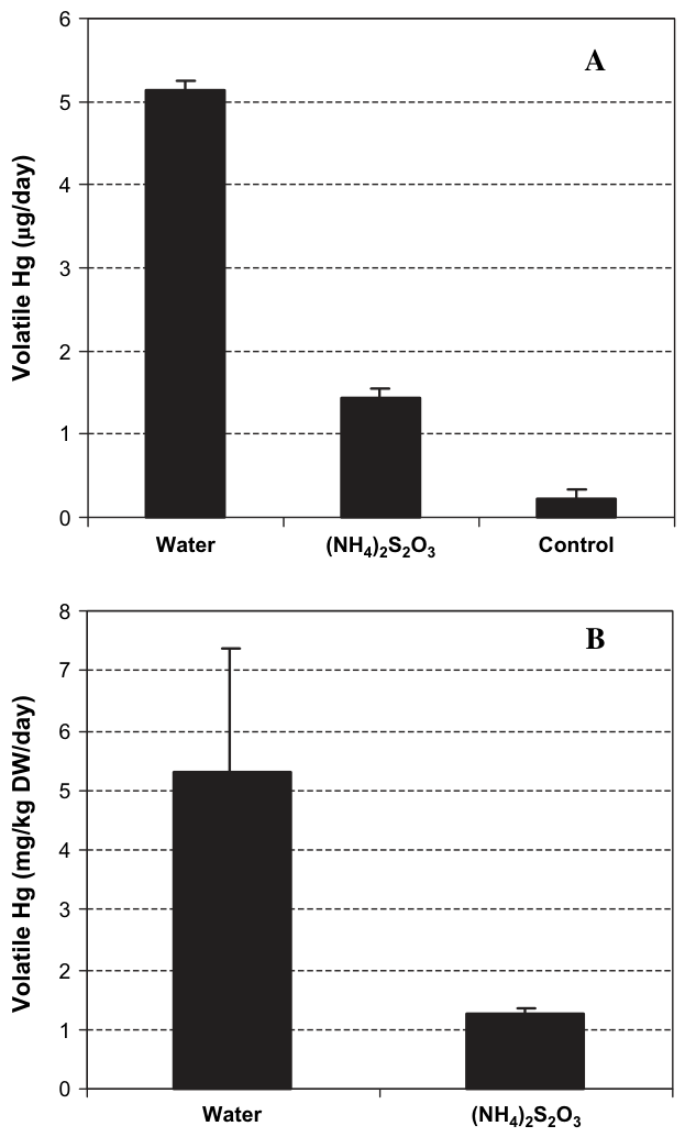 Fig. 3. Volatilisation rates from B. juncea plants grown in Tui mine tailings treated with ammonium thiosulphate ([NH4]2S2O3) at 1 g/kg. (A) Total Hg mass (mg/day) emitted from plants and control pots (without plants) an