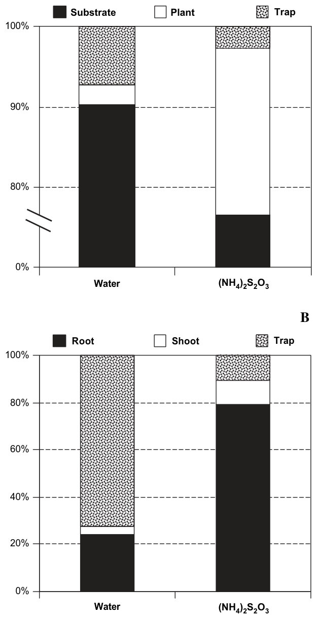 Fig. 4. Mercury Distribution in the air-plant-soil system after application of ammonium thiosulphate ([NH4]2S2O3) at 1 g/kg to Tui mine tailings. Normalized values (100%) represent the Hg mass in substrate, plant and aci