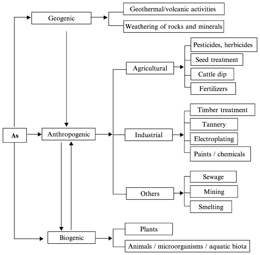 Figure 1 Major sources and routes of arsenic in soil and aquatic ecosystems.