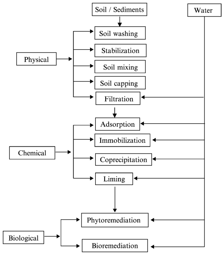 Figure 4 Viable remediation technologies for arsenic-contaminated soil/sediment and aquatic ecosystems.