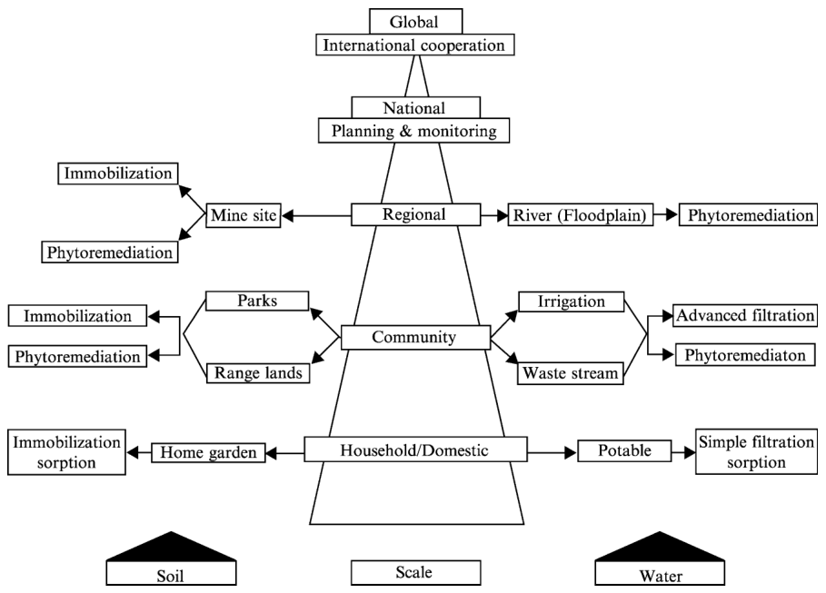 Figure 7 Multiscalar risk management for arsenic-contaminated soil and aquatic ecosystems.