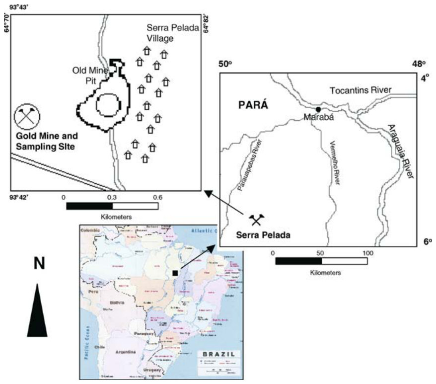 Figure 1. Geographic location of the sampling site and the Serra Pelada artisanal gold mine, State of Para´ , Brazil.