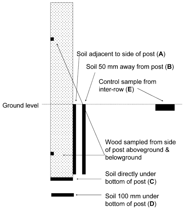 Fig. 1. Locations of soil and wood samples taken from around each post.