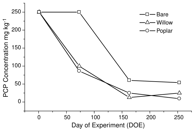 Fig. 3. Change in PCP concentration from initial concentration of 250 mg kgK1 with time in pots planted with either poplar, willow or left unplanted.
