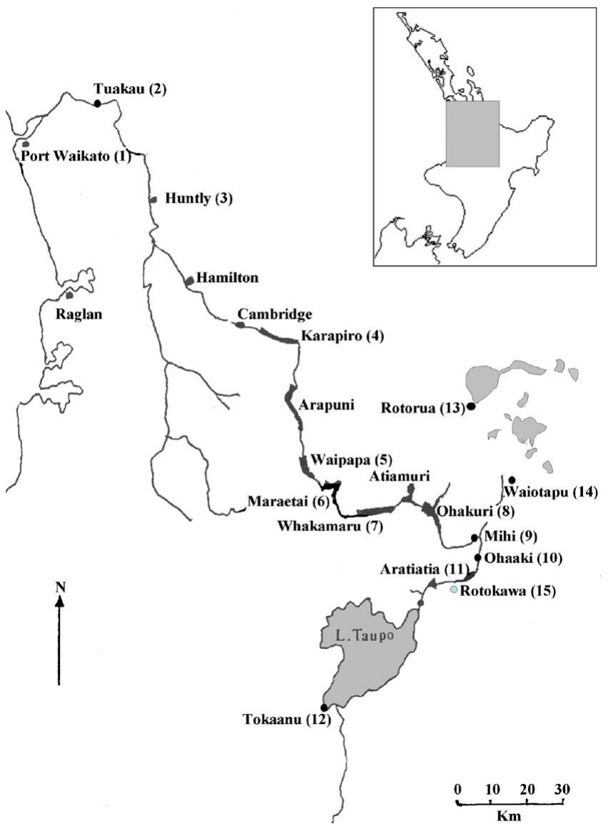 Fig. 1. Sampling locations from the Waikato River and Taupo Volcanic Zone in the North Island of New Zealand. The samples collected from the numbered locations are shown in Tables 1–3.